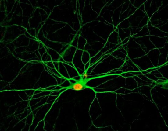 Credit: Gong Chen Lab, Penn State