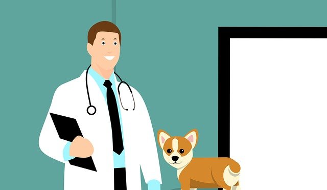 DENTALIS Animal Health Aims to Improve the Oral Health of Companion Animals